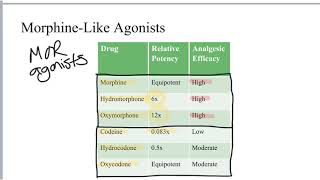 Opioid Pharmacology [upl. by Dido]