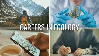 The 4 Types of Careers in Ecology  Careers in Biology and Environmental Science [upl. by Atalya]