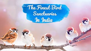 Top 11 Bird Sanctuaries In India  TravelTriangle [upl. by Eiltan]