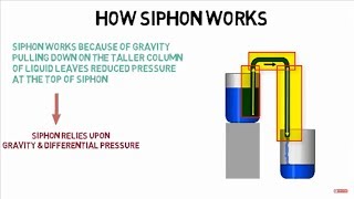 How siphon works [upl. by Ahsekan]