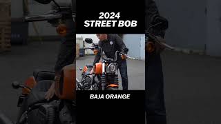 2024 Street Bob Details [upl. by Miah]