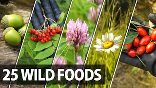 25 Edible Plants Berries and Trees for Wilderness Survival [upl. by Gavrila]