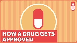 How Does the FDA Approve a Drug [upl. by Thar446]