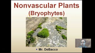 Nonvascular Plants [upl. by Nolyat111]