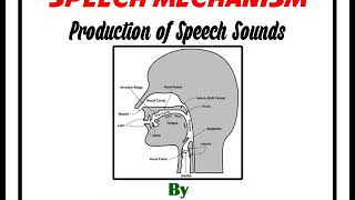 Production of Speech Sounds [upl. by Elyac]