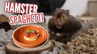 Making my Hamster Spaghetti 🍝 [upl. by Manvell683]