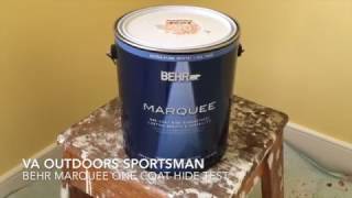 Behr Marquee One Coat Test [upl. by Eartnoed931]