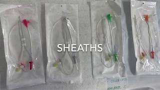 BASICS OF CATH LAB SHEATHS [upl. by Nnahaid]