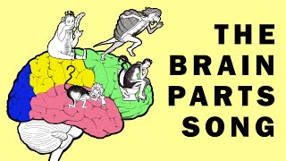 Parts of the Brain Song [upl. by Nahtaneoj]