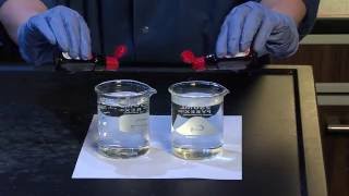 Diffusion and Osmosis  For Teachers [upl. by Jesher337]