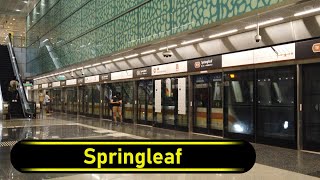 MRT Station Springleaf  Singapore 🇸🇬  Walkthrough 🚶 [upl. by Niarb]