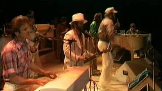 Beach Boys Live at Knebworth 1980  Fun Fun Fun [upl. by Lisan]