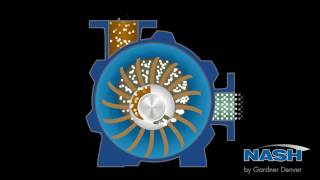 NASH Liquid Ring Vacuum Pump  How It Works [upl. by Cristionna]