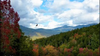 Bretton Woods Resort Canopy Tour [upl. by Aicala]