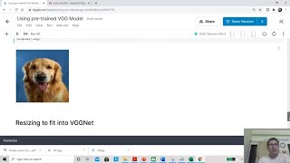 How to use VGG16 as a pretrained model in 8 minutes [upl. by Eel]