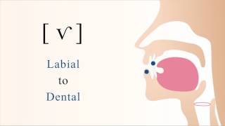 Nasal Packing for Severe Nosebleeds [upl. by Clarette]