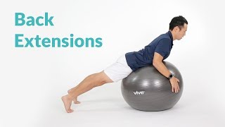 How to Perform Back Extensions on Exercise Ball [upl. by Adnilg]