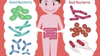 Common Food Poisoning Bacteria part 1 [upl. by Segal290]