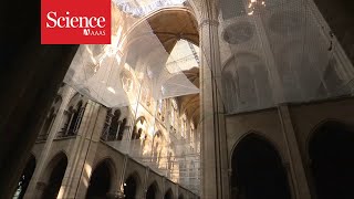 A look inside the restoration of Notre Dame cathedral [upl. by Garbers]