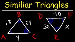 Similar Triangles [upl. by Ellertnom997]