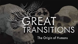 Great Transitions The Origin of Humans — HHMI BioInteractive Video [upl. by Kauslick]