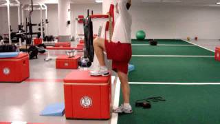 Psoas Iliacus Strengthening Exercises [upl. by Nonnelg]