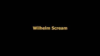 Wilhelm Scream [upl. by Norra]