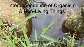 Interdependence amp Interaction among organisms  An Overview [upl. by Kristopher]