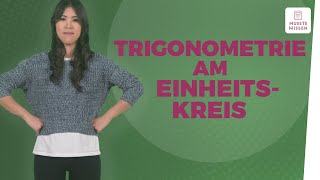 Trigonometrie anschaulich erklärt I musstewissen Mathe [upl. by Ainat]