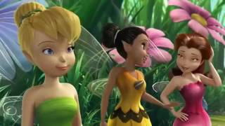 Disney Fairies Funny Episodes in Urdu [upl. by Annam862]