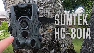 Suntek Trail Camera Review  Sample pictures and videos [upl. by Kciredorb]