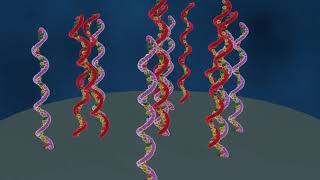 DNA microarray explained english speak [upl. by Luciano269]