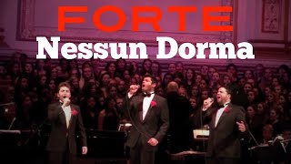 Forte  Nessun Dorma  Carnegie Hall Debut [upl. by Puri699]