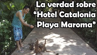 Hotel Catalonia Playa Maroma ⭐ GUIA COMPLETA  Hoteles Riviera Maya [upl. by Yetah]