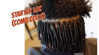 STARTER LOCS no gel no wax  WHAT TO EXPECT [upl. by Ydnyl]