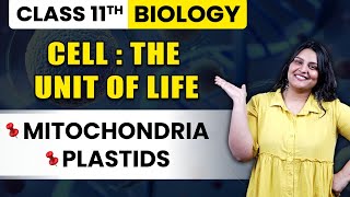 Class 11 Biology  Cell  The Unit of Life  Mitochondria  Plastids  NCERT Ch 8  Shivangi Maam [upl. by Haropizt685]