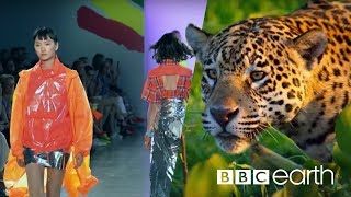 Can Fashion Be Sustainable  BBC Earth [upl. by Yelrahc]