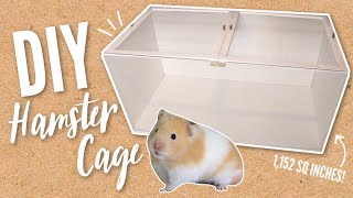 Building a NEW DIY Hamster cage [upl. by Bagger896]