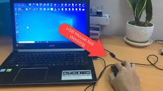 How To Fix USB Mouse Not Working on Windows 10 [upl. by Anneis]