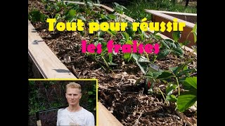 comment réussir les fraises [upl. by Broddie]