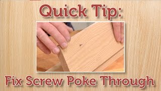 Quick Tip Fix a Protruding Screw [upl. by Chapen784]