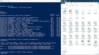 Making Custom Database and Sequence Alignment using NCBI BLAST [upl. by Raul]