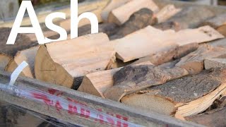 Ash Firewood  How Does It Burn  White Horse Energy [upl. by Shayla876]