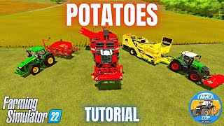 HOW TO GROW POTATOES  Farming Simulator 22 [upl. by Eelannej553]