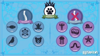 VERTEBRATE AND INVERTEBRATE ANIMALS [upl. by Burbank800]