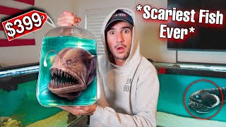 UNBOXING THE SCARIEST ANGLER FISH IVE EVER OWNED [upl. by Aicileb940]