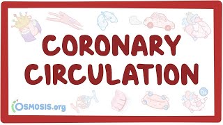 Coronary circulation  an Osmosis Preview [upl. by Harriett765]