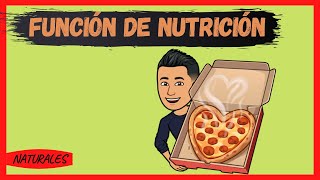 LA FUNCIÓN DE NUTRICIÓN [upl. by Hoang]