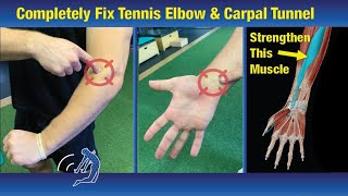 Fix Patellar Tendonitis with 4 Exercises Stop Knee Pain [upl. by Eciral122]