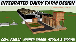 Integrated Dairy Farming Model Design  Cow Azolla Napier Hydroponic Fodder Farm amp Biogas Design [upl. by Ttelrahc]